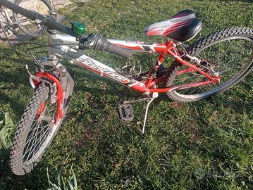 bicicletta da ragazza/o