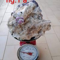 Rocce Carib Sea