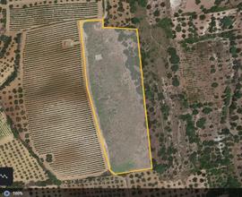 Terreno agricolo di ha 1.14, c.da Gurra Soprana