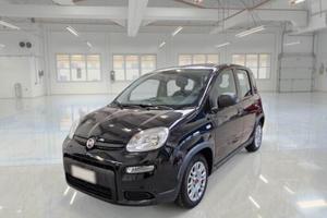 Fiat Panda 1.0 FireFly S&S Hybrid 5P PACK CITY PRO