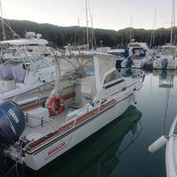 Boston whaller revenge 22