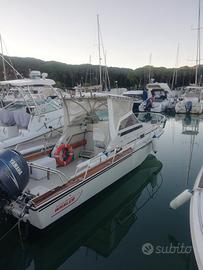 Boston whaller revenge 22