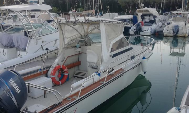 Boston whaller revenge 22