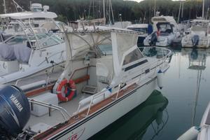 Boston whaller revenge 22