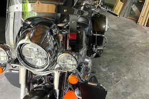 Indian Springfield - 2023