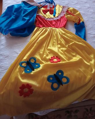 Vestito carnevale 