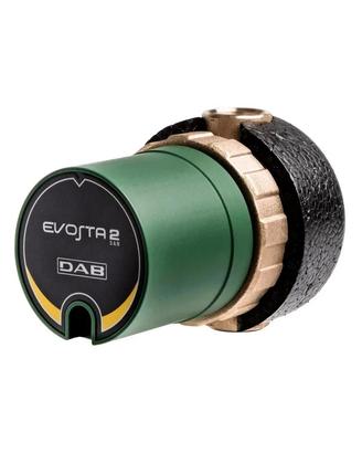 Circolatore Elettronico DAB Evosta2 60187267