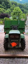 moto agricola Bertolini 14cv
