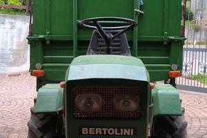 moto agricola Bertolini 14cv
