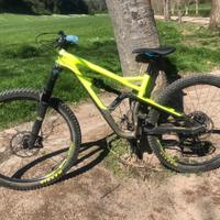 Cannondale jekyll 3 2019