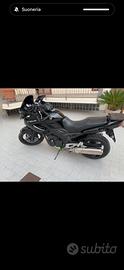 Tdm 900 2014