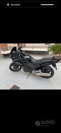 Tdm 900 2014