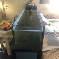 ACQUARIO IN CRISTALLO SUPERCHIARO