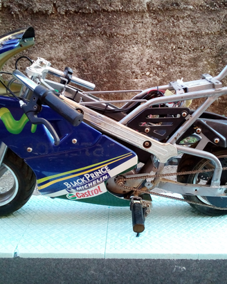 Mini moto elettrica
