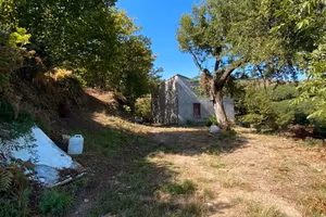 Terreno noccioleto
