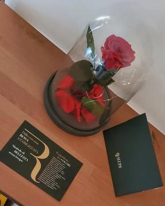 Rosa rossa stabilizzata Aluisi, con lucine a led