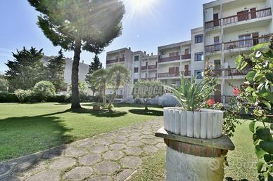 APPARTAMENTO CON TERRAZZO E GIARDINO CONDOMINIALE