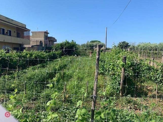 Terreno di 1000 m² a Mondragone - Vista 2
