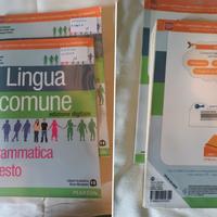 libro Lingua comune
