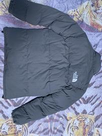 Giubotto The north face