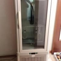 Freezer o Frigorifero