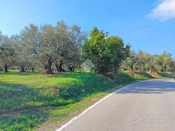 TER. AGRICOLO A MOSCUFO