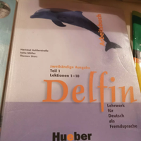 Hueber DELFIN Lehrbuch + arbeitsbuch