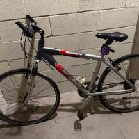 Bicicletta Bianchi Spillo