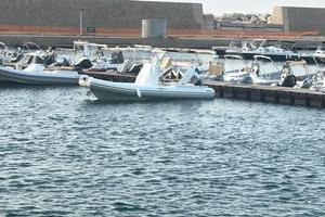 Gommone 750 honda bf 250 2025 garanzia