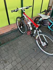 Mtb olympia brave