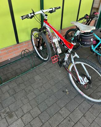 Mtb olympia brave