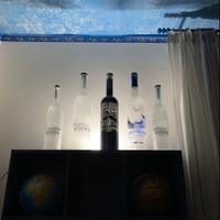 Lotto di bottiglie vuote Belvedere - Grey Goose