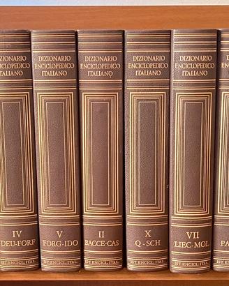 Dizionario Enciclopedico Italiano 1970  20 volumi