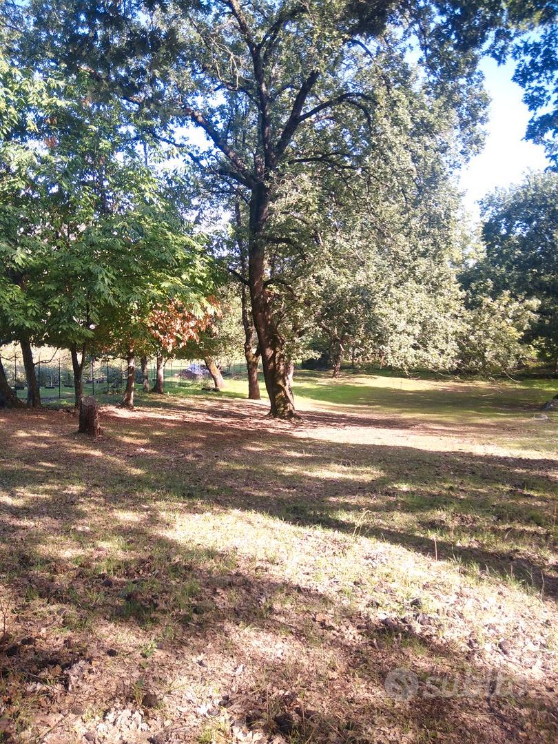 Terreno via colli - Vista 4