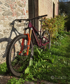 Orbea Rallon