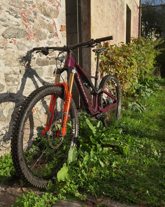 Orbea Rallon
