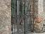 Immagine 6