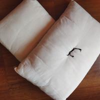 Coppia cuscini100% fibra naturale ipoallerg cotone