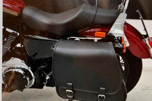 Harley Davidson 1200 Custom CA