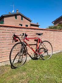 Bici Vicini vintage - columbus /campagnolo