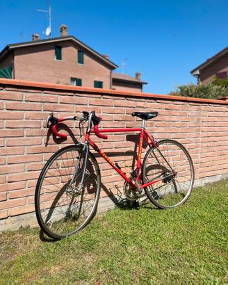 Bici Vicini vintage - columbus /campagnolo