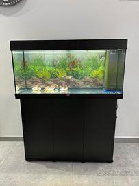 Acquario lt 180