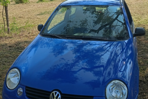VW lupo per neopatentati