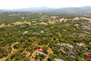 Tenuta con ampio terreno - Arzachena