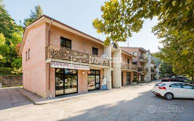 LOCALE COMMERCIALE - VIA IDICE - MONTERENZIO