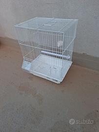 gabbia uccelli 