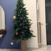 Albero natale EDG