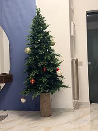 Albero natale EDG