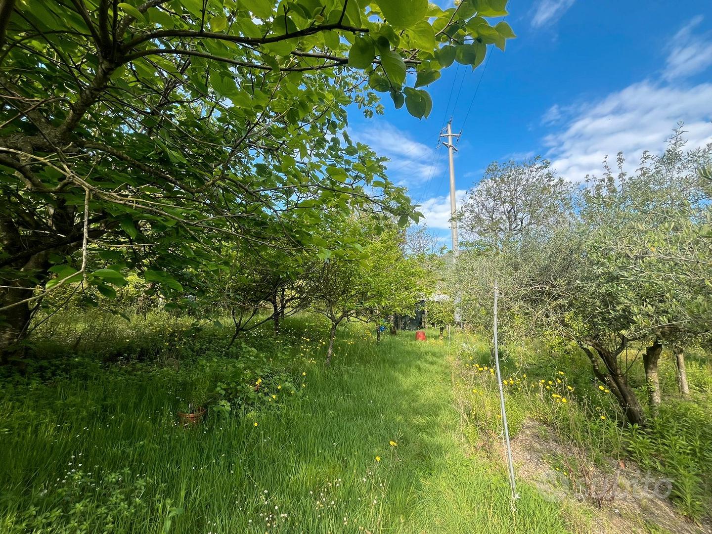 Terreno agricolo - zona montalbino - Vista 2