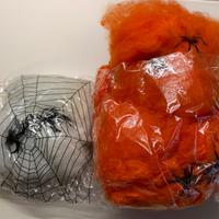 Halloween ragnatele con ragni